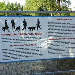 Площадка для выгула собак (26 фото): нормы и правила организации собачьих площадок для тренировки, необходимое оборудование и требования к размерам