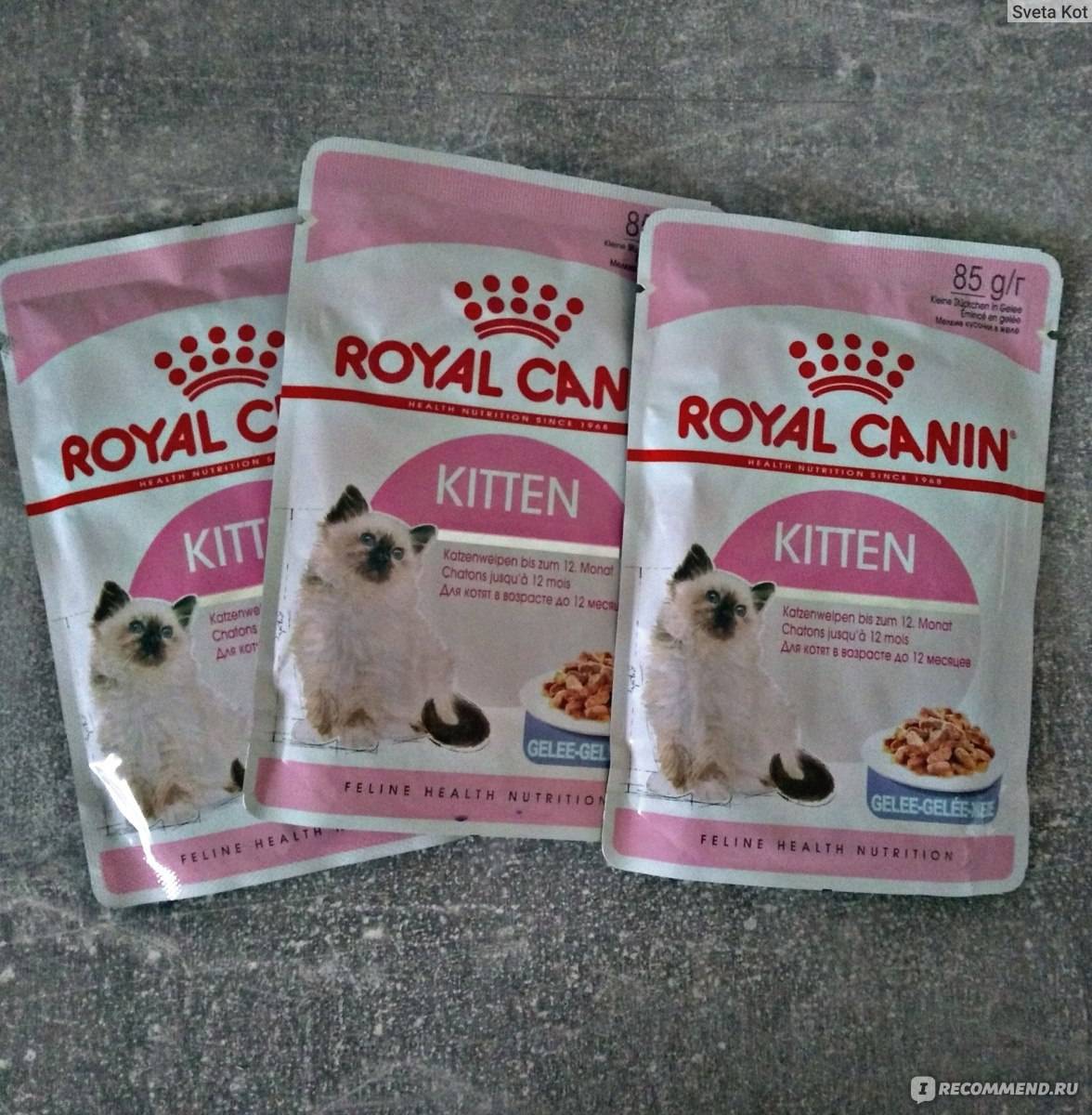 Подробный обзор всей линейки кормов от royal canin для кошки и котенка