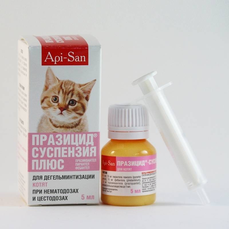 Дирофен-суспензия 60 для взрослых собак и кошек, 10 мл