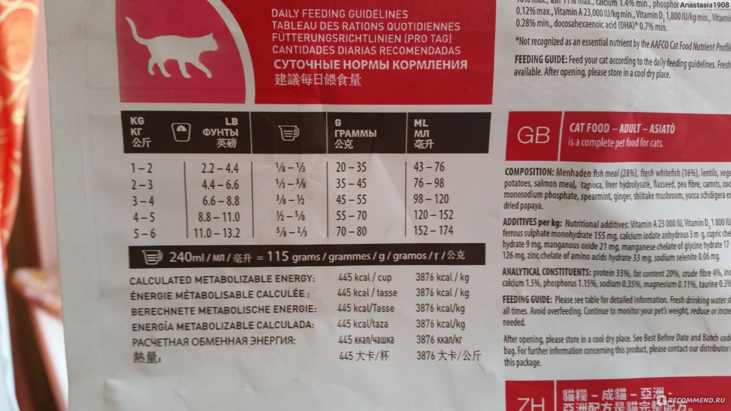 Анализ сухих кормов для кошек: как выбрать лучший