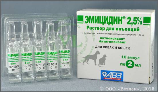 Эмицидин для собак: инструкция по применению, состав и эффективность препарата, дозировка