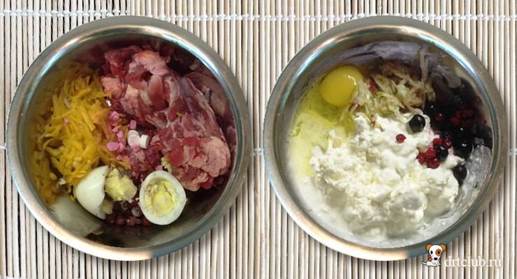 Можно ли собаке давать яйца, какие и в каком виде
