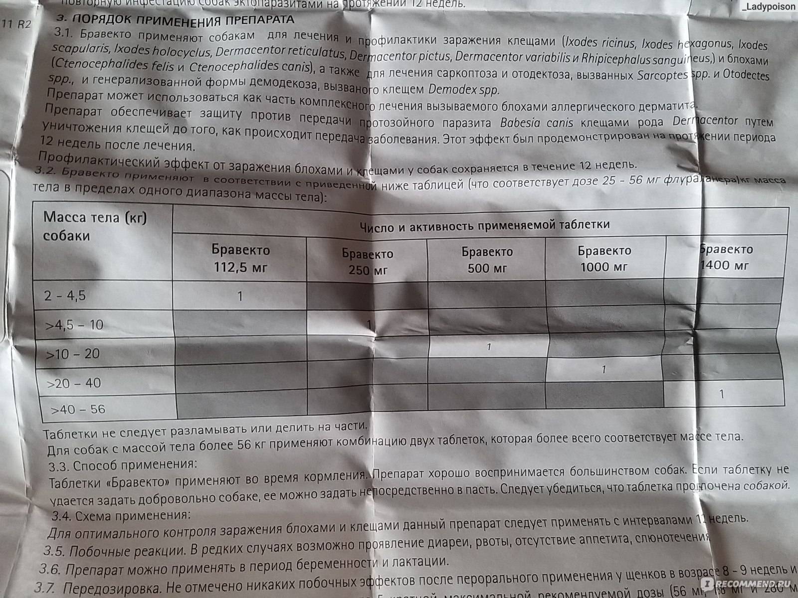 Бравекто для кошек: показания и инструкция по применению, отзывы, цена