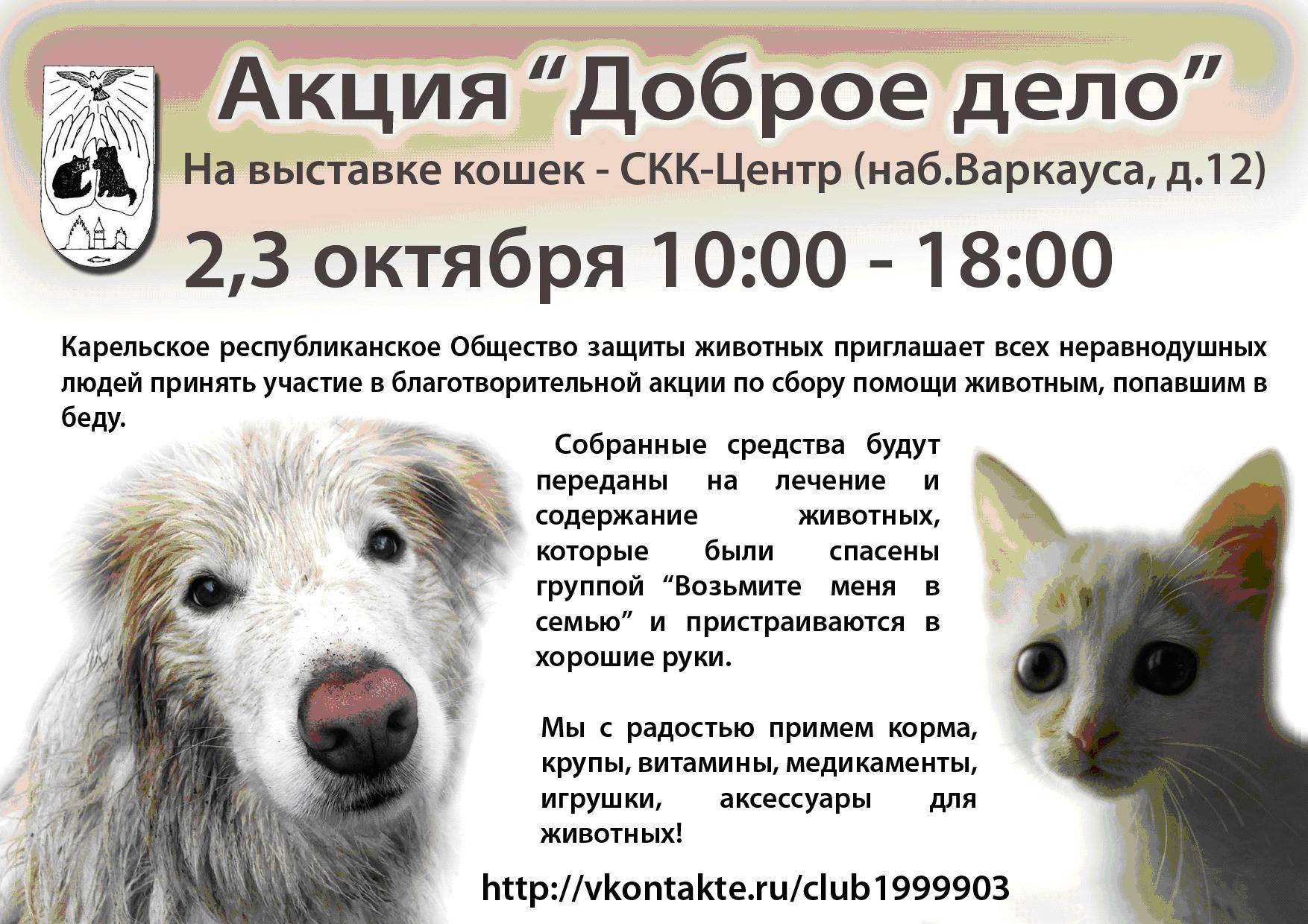 Как открыть приют для животных: пошаговое руководство. открытие приюта для бездомных животных при поддержке государства :: businessman.ru