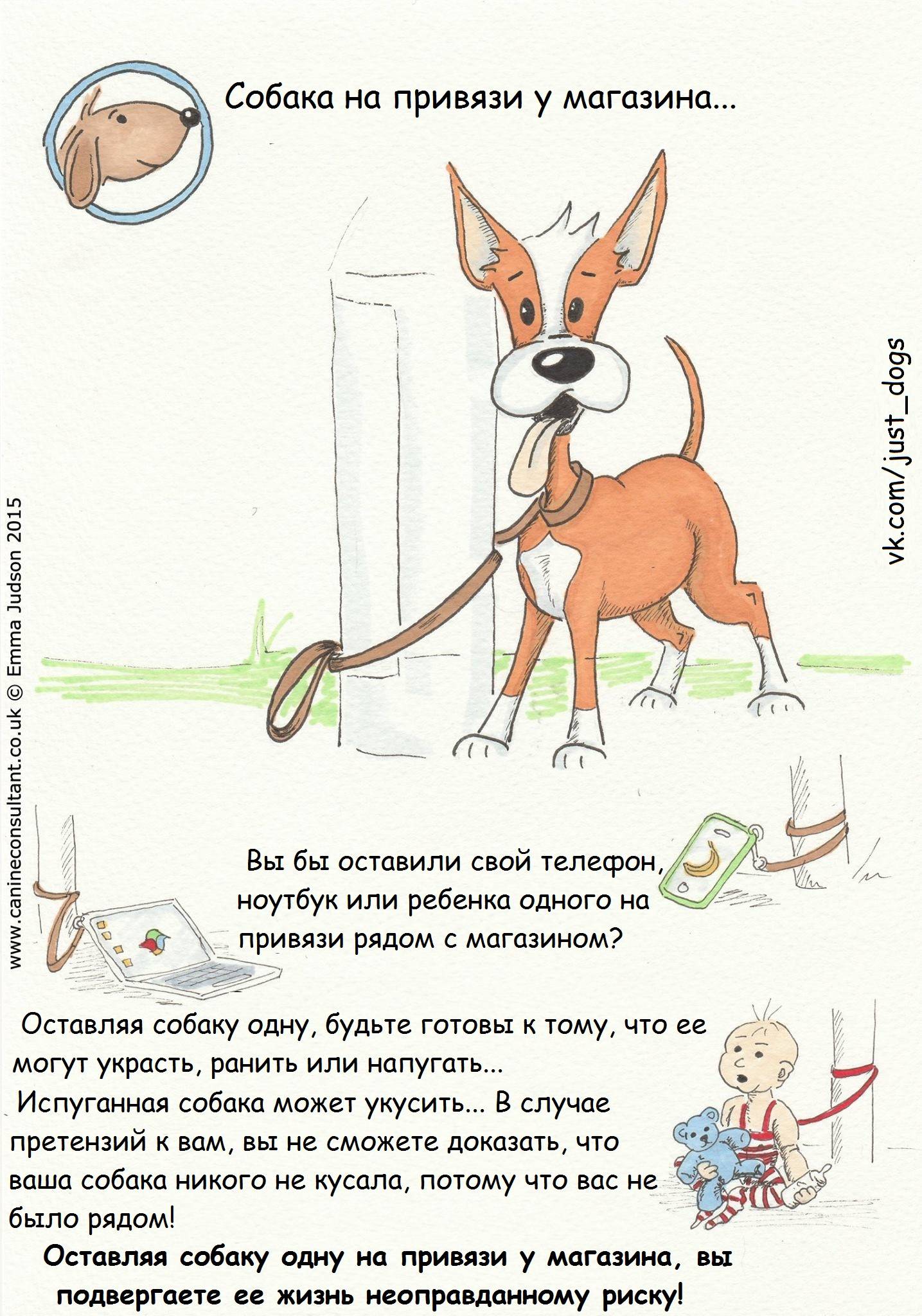 Как воспитать послушную собаку: место собаки в доме, методы дрессировки и воспитания собаки