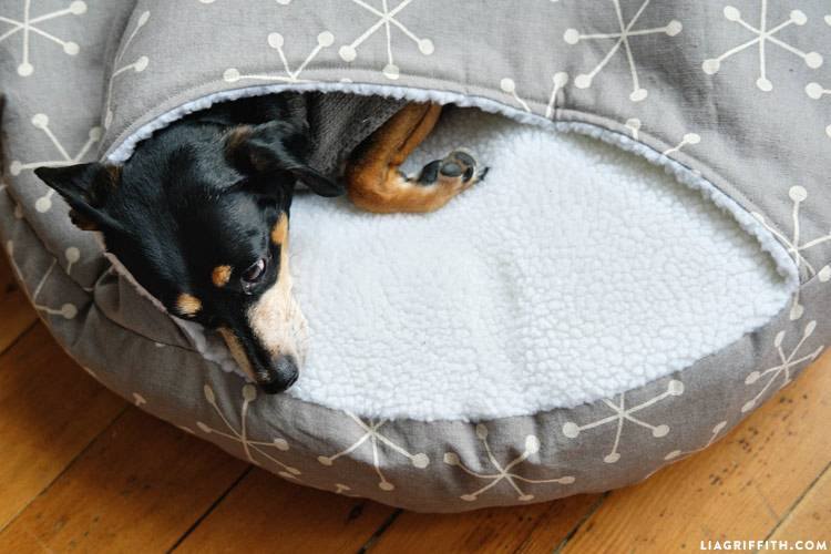Лежак для собаки своими руками: необычные варианты из подручных материалов