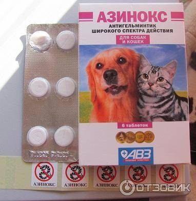 Как правильно давать препарат азинокс кошке: дозировка и инструкция