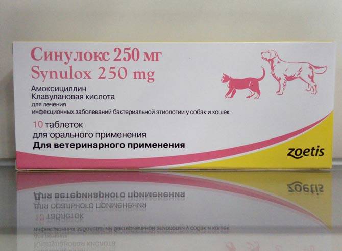 Ветеринарный препарат | синулокс rtu от zoetis