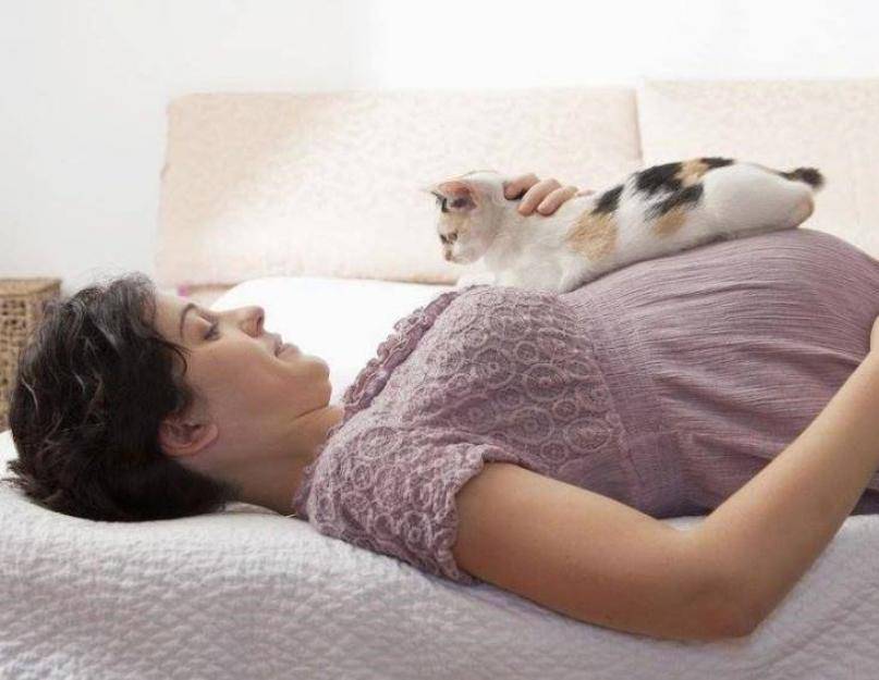 Почему кошка спит на человеке