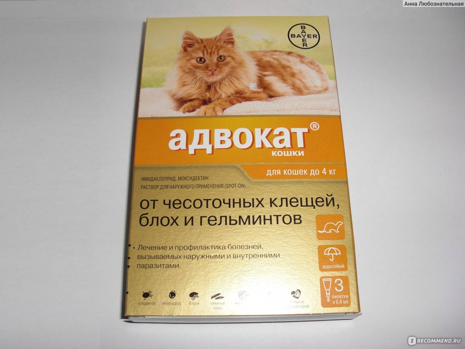 Адвокат капли для кошек от блох, клещей и других паразитов, инструкция по применению препарата, а так же средняя цена русский фермер