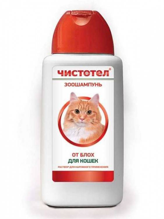 12 лучших шампуней для кошек и котов