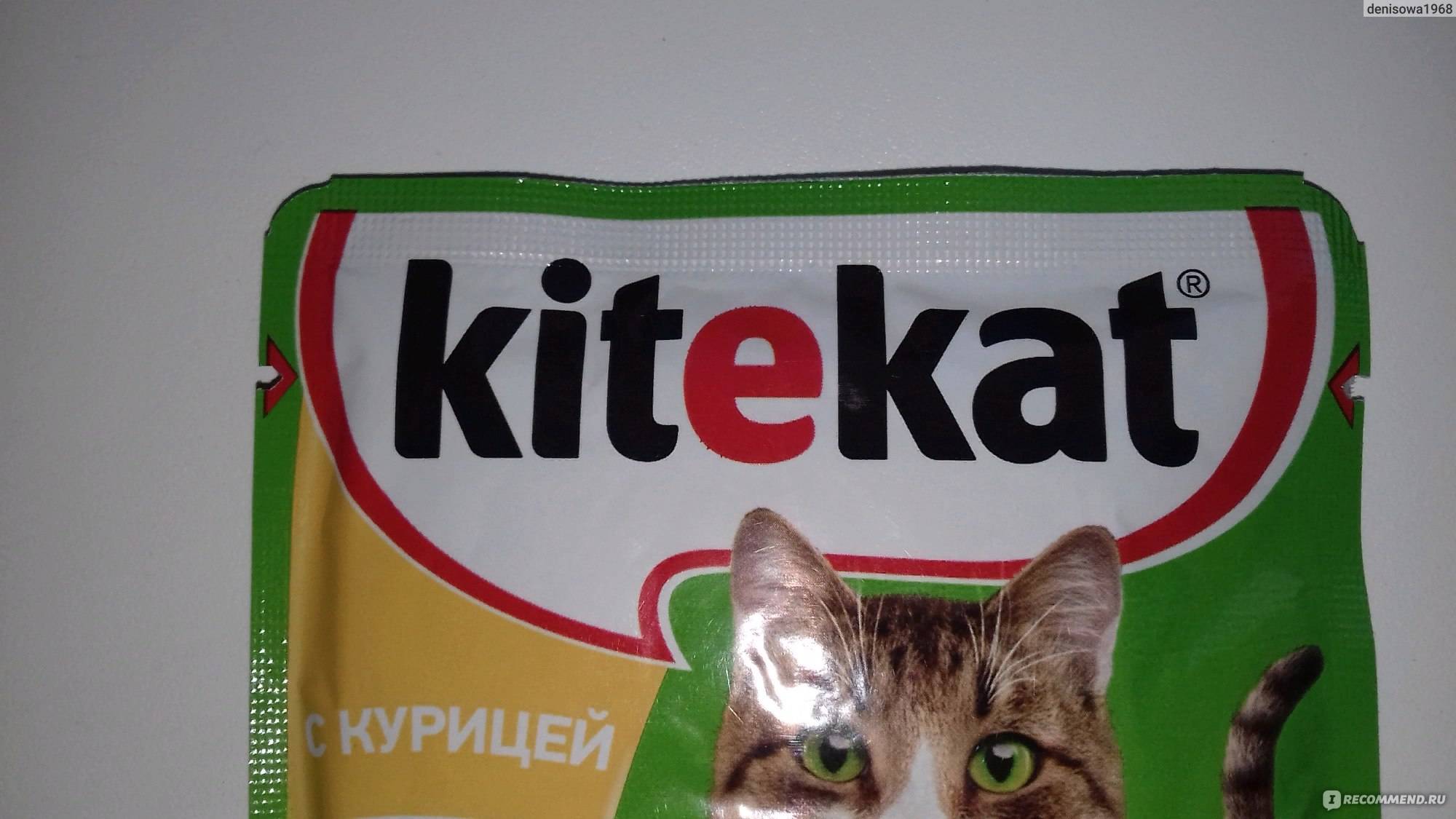 Корм для кошек китекат (kitekat): обзор, виды, состав, отзывы