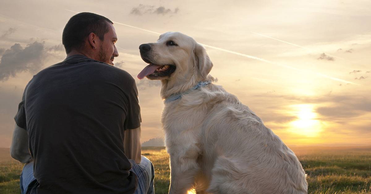 Почему собака лучший друг человека? настоящие причины — 4 лапки