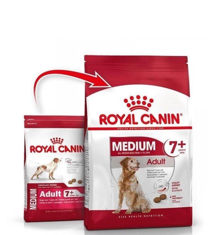 Корм для собак роял канин (royal canin): отзывы, состав, цены
корм для собак роял канин (royal canin): отзывы, состав, цены