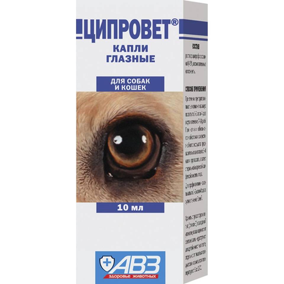 Ципровет (глазные капли) для кошек и собак | отзывы о применении препаратов для животных от ветеринаров и заводчиков
