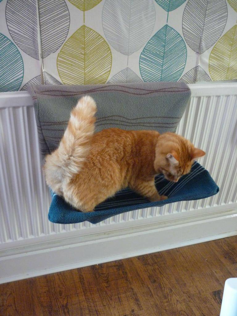 Лежак для кошки своими руками.: дневник пользователя ms_alexandra