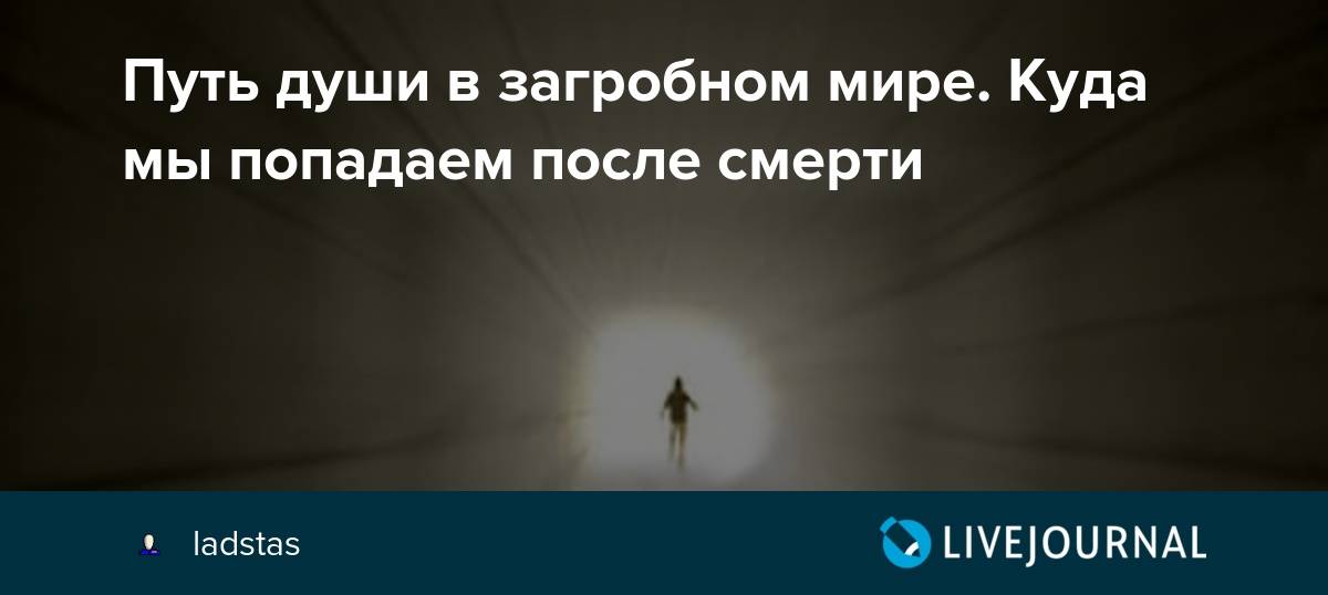 Может ли душа умершего переселиться в кошку, или наоборот?