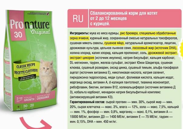 Farmina nd - корм для кошек и котов | цена, отзывы, состав