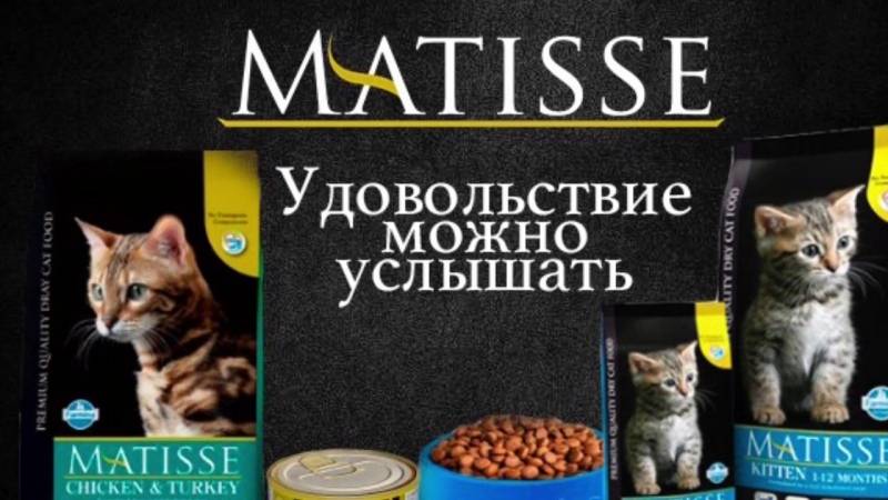Корм для кошек matisse: отзывы, разбор состава, цена - петобзор