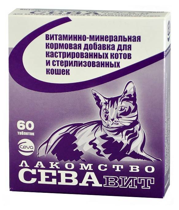 Витамины для кошек: для иммунитета, для старых, стерилизованных, отзывы