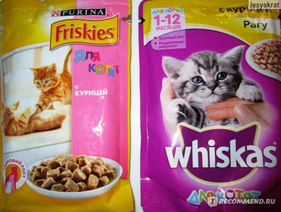 Корм фрискис (friskies) для кошек — отзывы владельцев, ветеринаров