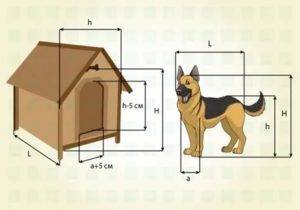 Будка для собаки своими руками: используем чертежи
