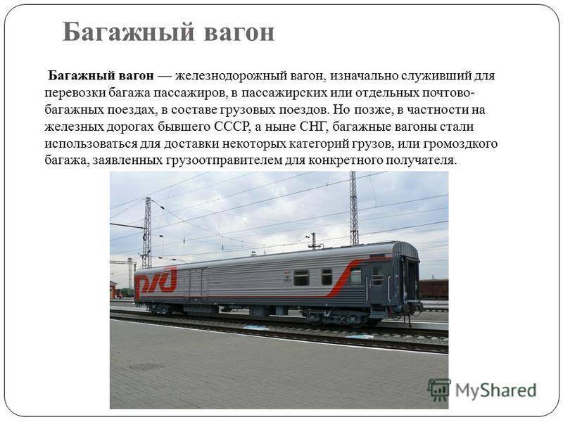 Правила перевозки собак в поезде по россии: как перевозить животных, какие нужны документы?