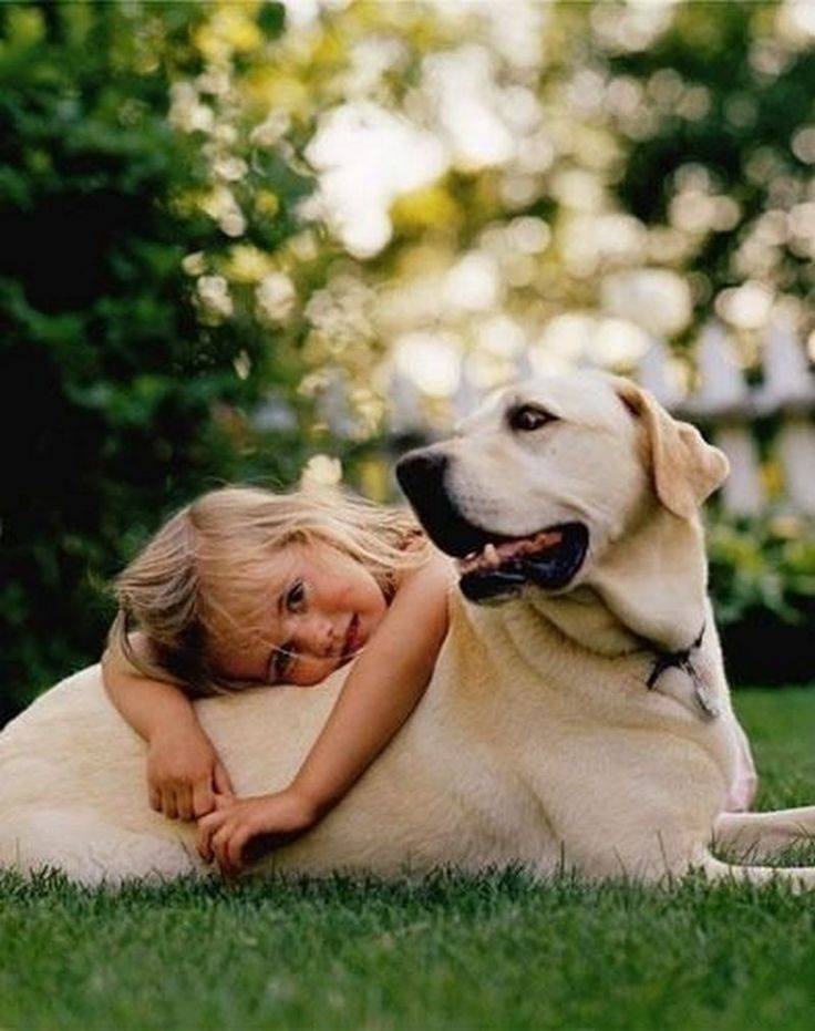 Топ-10 – подборка лучших пород собак для детей