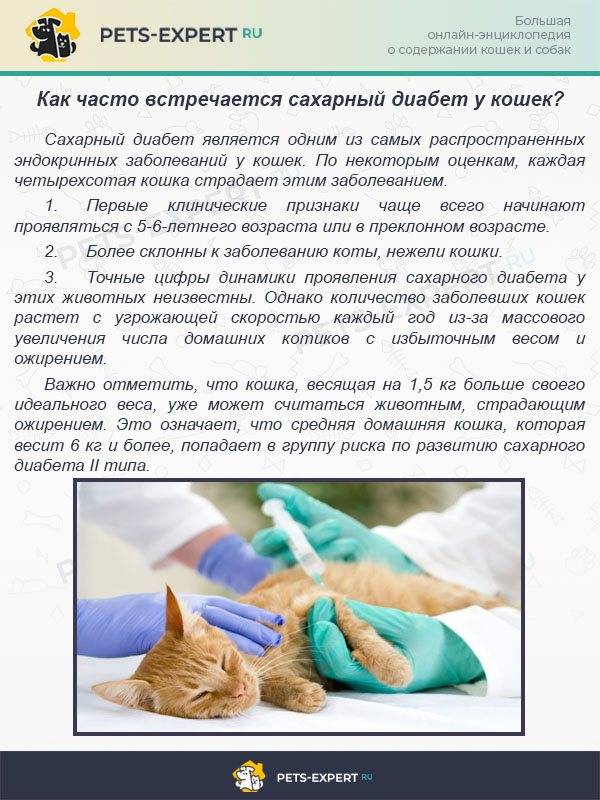 Атаксия у кошек лечение препараты