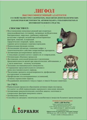 Пронефра (pronefra), препарат для лечения хпн у кошек и собак