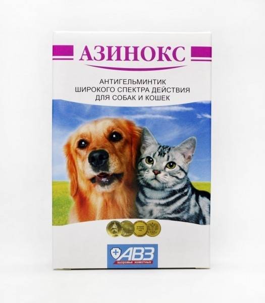 Азинокс для кошек: инструкция по применению, состав, дозировка и цена | kotodom.ru