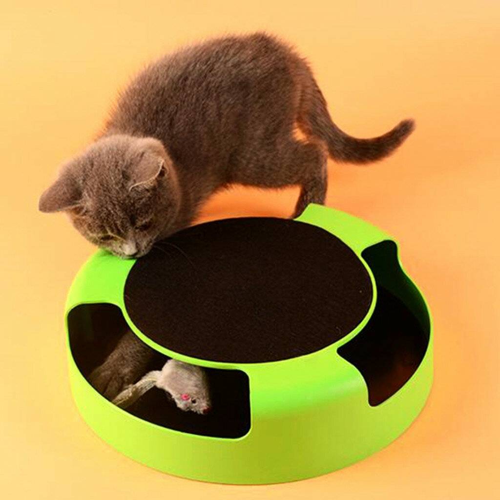 7 игрушек, которые должны быть у каждой кошки | gafki.ru | яндекс дзен