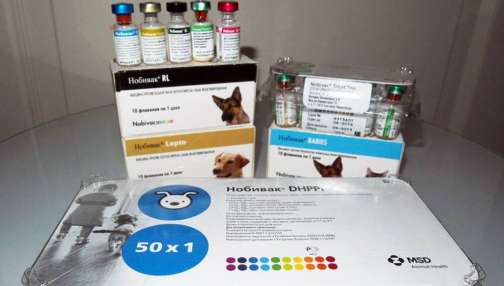 Нобивак трикет трио / nobivac tricat trio (вакцина) для кошек | отзывы о применении препаратов для животных от ветеринаров и заводчиков