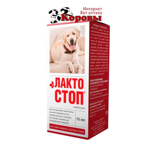 Когда назначается лакто-стоп для собак