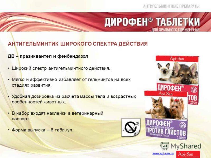 Топ-8 лучших таблеток от глистов для собак в 2021 году в рейтинге biokot