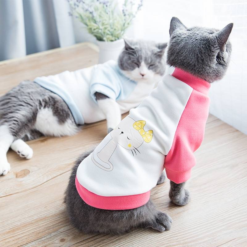Одежда для кошек своими руками: выкройки и пошаговая инструкция