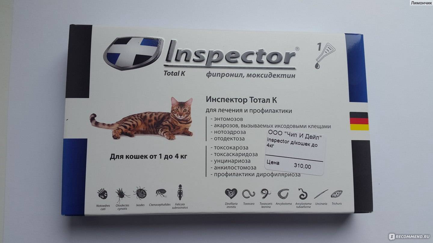 Капли инспектор для кошек инструкция по применению. Инспектор капли тотал кошки. Инспектор тотал к для кошек. Капли от внешних и внутренних паразитов для кошек. Капли инспектор для кошек аналоги.