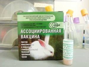 Инструкция к ассоциированной вакцине для кроликов и как делать прививки