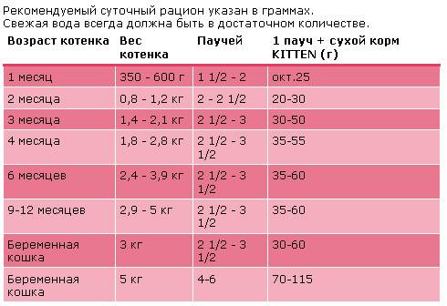 Норма корма для котенка в день: таблица норм для кормления котенка сухим и влажным кормом. сколько граммов корма необходимо для котенка 4 месяцев и других возрастов?