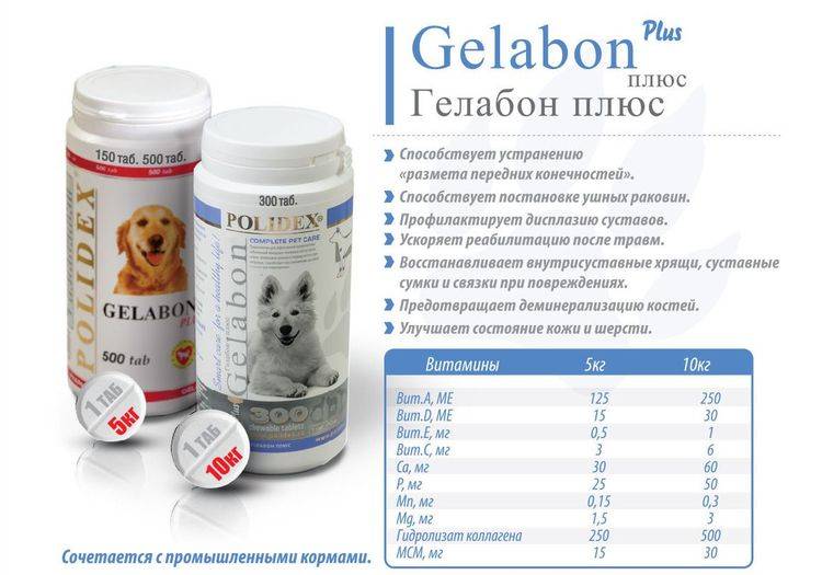 Гелабон плюс для собак: показания и инструкция по применению, отзывы, цена