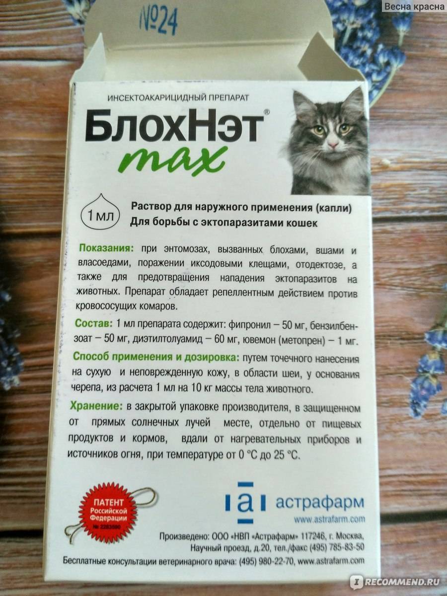 Блохнэт max для кошек - купить оптом по цене производителя | тд "астрафарм"