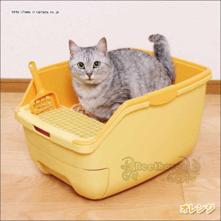 Обзор лотков для кошек: виды кошачьих туалетов, как выбрать и использовать