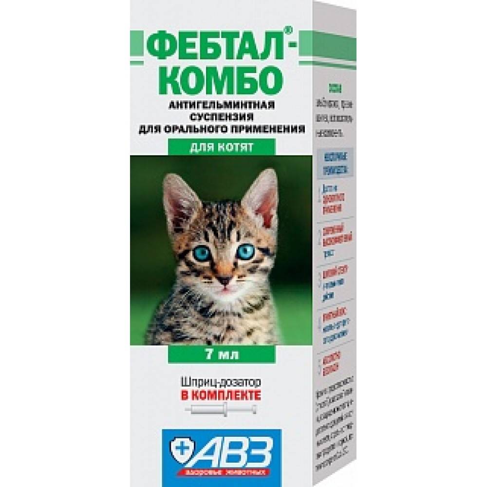 Фебтал: препарат, который избавит кошку от глистов