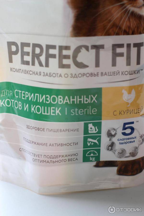 Корма для домашних кошек «перфект фит» от «пурина» с фото: какого класса сухой и влажный продукт, что входит в состав?