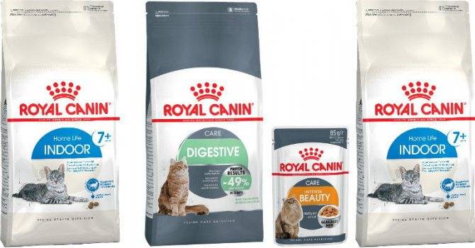 Корм royal canin для кошек