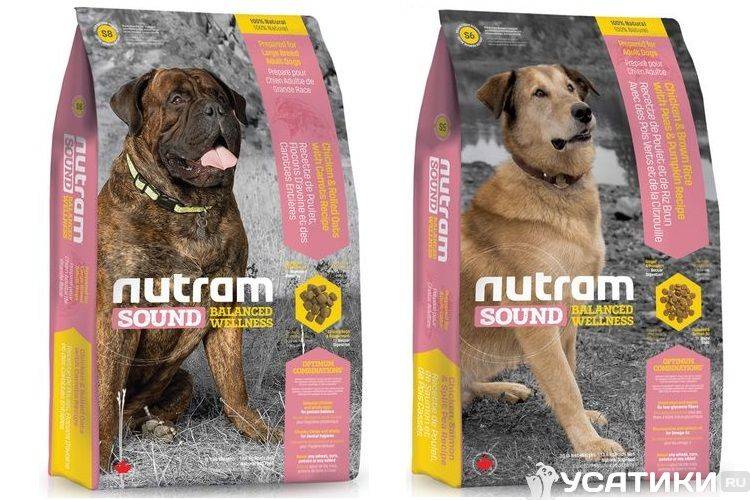 Корм для собак nutram: отзывы и обзор состава | «дай лапу»