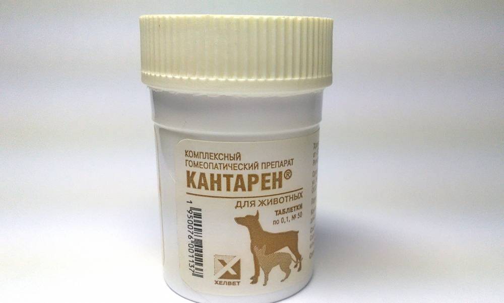 Кантарен собак | препарат для лечения почек и мочевыводящих путей