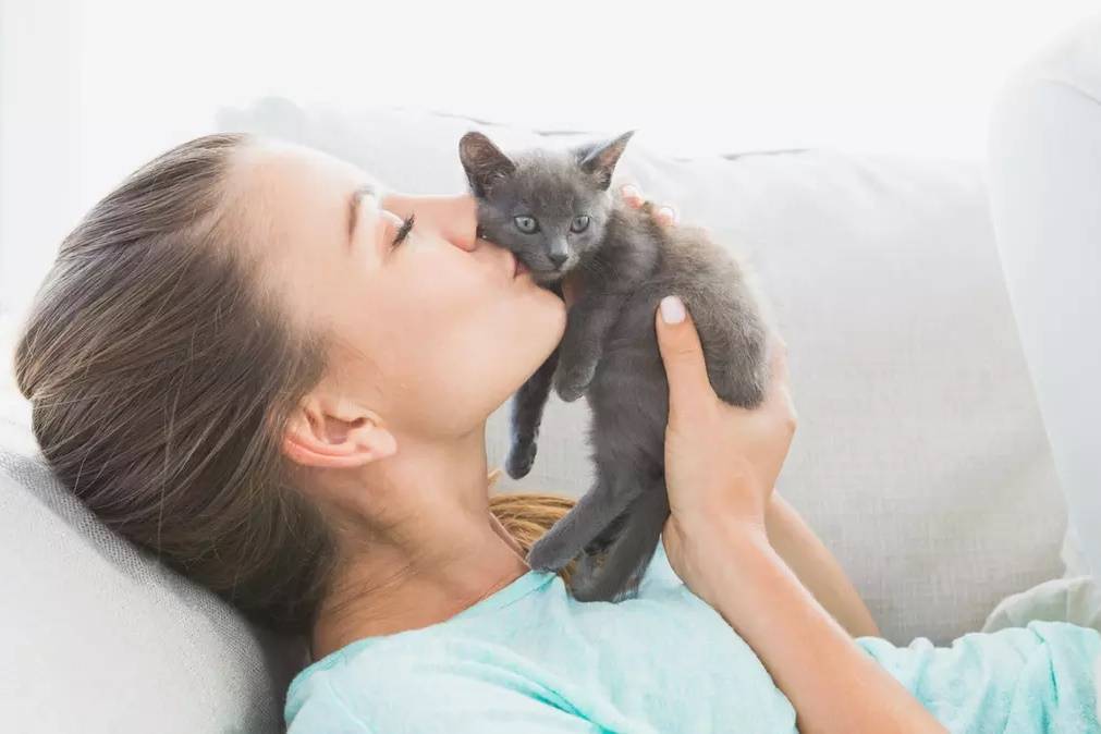 8 типичных ошибок хозяина, которые сокращают жизнь кошки