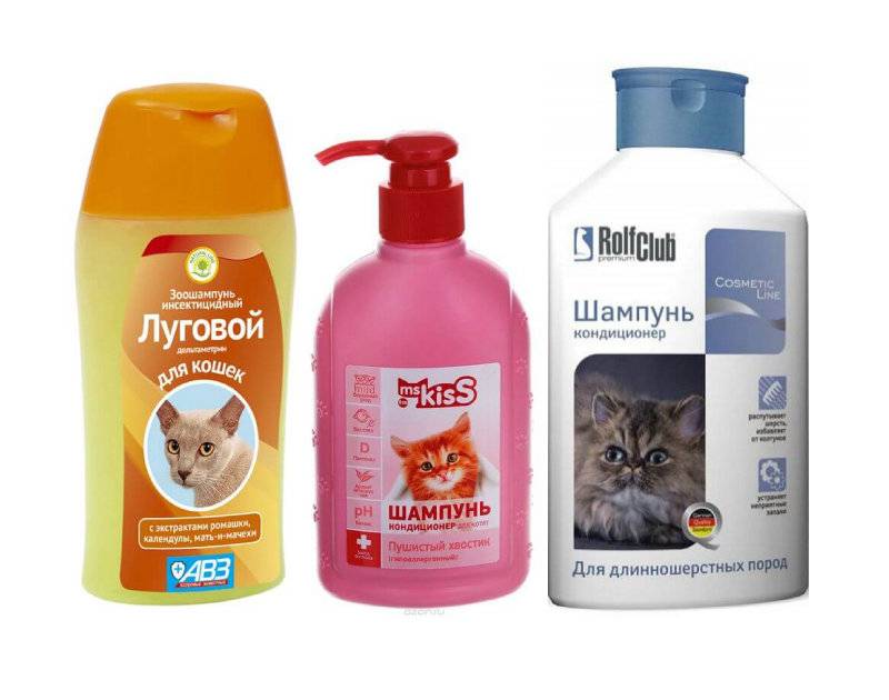 Шампунь для кошек: противоаллергенный состав для длинношерстных котят. чем помыть кота, если нет специального средства? как часто можно использовать кошачий шампунь?