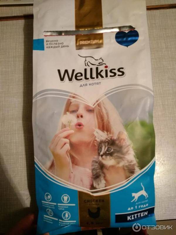 Корм для кошек wellkiss (веллкисс): плюсы и минусы, отзывы ветеринаров